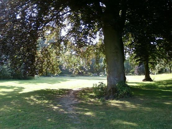 Eine Wiese und Baeume in einem Park.