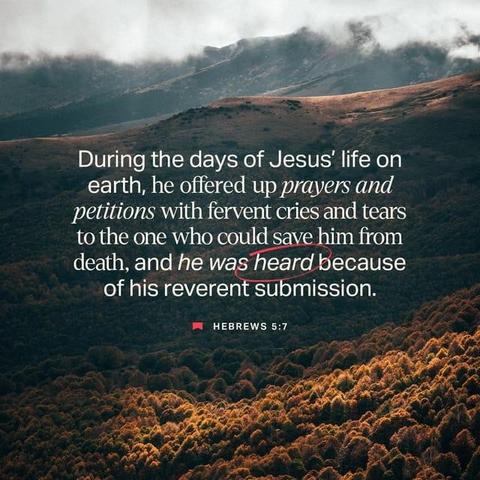 "During the days of Jesus’ life on earth, he offered up prayers and petitions with fervent cries and tears to the one who could save him from death, and he was heard because of his reverent submission." - Hebrews 5:7 (NIV)