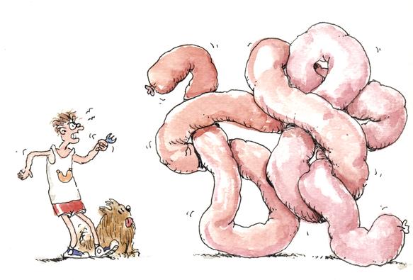 A guy with a fork, trying to fight a huge, snake-like sausage. He wears red shorts and a white shirt with the image of a sausage on the chest. Next to him sits a brown, shaggy dog who‘s tongue is visible. The big sausage is a lot larger than the man. And the dog Drawn with black ink and some watercolour. 
 
Ein Typ mit einer Gabel in der Hand kämpft gegen eine riesige Wurst, die wie eine Schlange aussieht. Er trägt Turnschuhe, rote Shorts und ein weißes Unterhemd mit dem Bild einer Wurst auf der Brust. Neben ihm sitzt ein zottiger brauner Hund, dessen Zunge heraushängt. Die Riesenwurst ist viel größer als der Mann und der Hund. Gezeichnet mit schwarzer Tinte und Aquarellfarbe