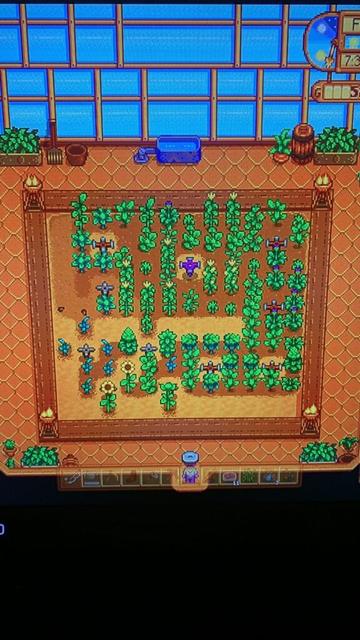 My husbands greenhouse layout