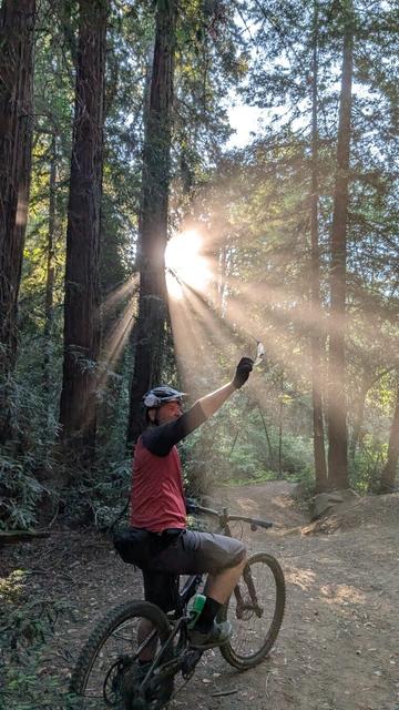 A rider, pointing, sunbeams in dusty light