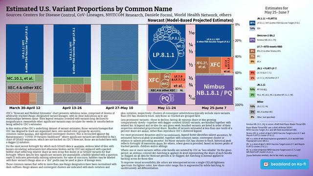 Chart: Est. U.S. Variant Proportions by Common Name
Sources: CDC, Cov-Lineages, NYITCOM, others

[ beadsland on Ko-fi ]

Reskin of CDC's Variants Nowcast, and any significant variants in GISAID not broken out by CDC.

Five bar-style tree-charts, for fortnights through 5/25–6/7. Legend of last fortnight, organized by subheadings of color-grouped families and convergent clusters. Percentages overlay each color key, reflecting share as of most recent tree-chart.

WHO-Vaccine-Target JN.1 accounts for over three fifths. JN.1.11 for over two fifths.

For 5/11–5/24, packed bubble charts fill single-variant tiles, reflecting GISAID detail not shown by CDC's Nowcast.

Legend:

JN.1.11 + FLiRT31 [blues]:
38% - LP.8.1.1 / NY† & other FDA-Vaccine-Target LP.8.1
⅛% - XEK

Omicron-2 BA.2 [purple]:
37% - Nimbus NB.1.8.1 / PQ

LF.7 + NTD-meets-RBD [browns]:
8% - XFG.2† & other Stratus XFG
7% - XFC
0% - XFJ†

JN.1 + FLiRT-LF-7 [reds]:
5% - LF.7.9 & LF.7.7.2
1% - LF.7.7.1 / PV & other LF.7

JN.1.11 [greens]:
⅜% - KP.3 & XEQ
1% - PA.1, MC.10.1, MC.1 & other KP.3.1.1 / MC

Other [greys]:
½% - LB.1.3.1 / NL
2% - XEC.4 & other XEC
0% - Other (not specified)
_____

Nimbus NB.1.8.1 / PQ is a scion of left-field Razor-Blade-Throat XDV.

Razor-Blade-Throat XDV was a child of Winter 2024's WHO-Vaccine-Target JN.1 and left-field recombinant XDE.

XDE is a child of left-field Hyperion grandkid FL.13.4 and left-field Hippogryph scion GW.5.1.

[Some footnotes omitted, due to too many recombinants.]