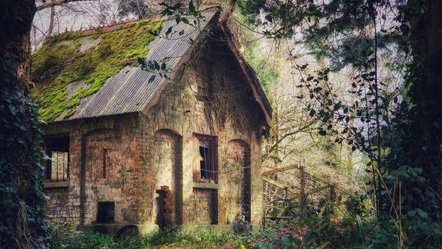 A weathered, abandoned brick house with a moss-covered corrugated roof stands nestled amidst a dense forest. Ivy creeps up its walls, and broken windows reveal its disused state. Sunlight filters through the bare branches of surrounding trees, casting a dappled light on the scene, evoking a sense of forgotten history and rustic charm.