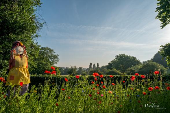 Scarecrow with wildflowers and poppies in garden, with view to distance, big blue sky and trees