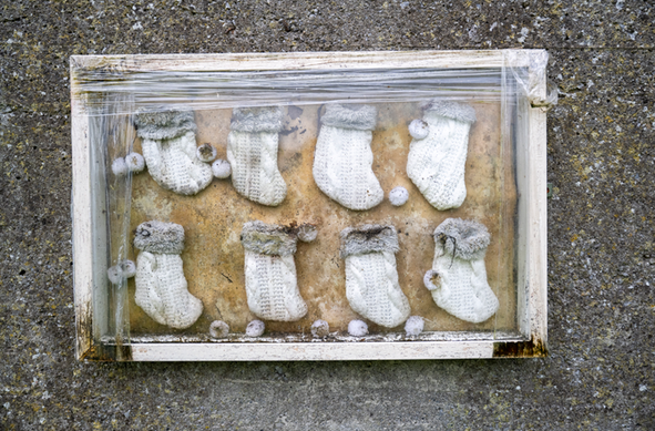 Homenatge als prop de 800 nens que hi ha enterrats a la fossa (Andrew Downes / ODAIT)