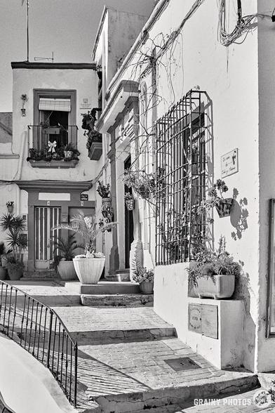 Captured with a Nikon F camera using Ilford Delta 100 film, this black-and-white photograph depicts a charming street scene in Nijar. Old buildings adorned with potted plants, an iron fence, and steps lead to a doorway, where bright sunlight casts shadows on the intricate wrought iron decorations.