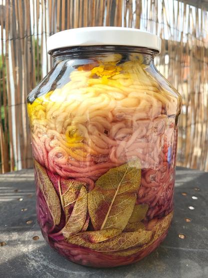 The same mason jar but slightly turned so we see it from another side. There are a few sage leaves in the lower third and the yarn has a light red colour there, in the middle it has a very soft pink and in the upper third it is deeply yellow. You can also see a dyer's chamomile there.