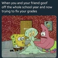 SpongeBob Meme