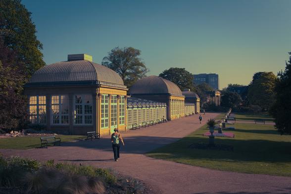 A wide path runs through a formal garden, flanked on one side by a row of elegant glasshouses with domed roofs, glowing warmly in the late afternoon sun. The buildings reflect soft golden light, while shadows stretch across the manicured lawn. A few people stroll quietly along the path, some sitting on benches that line the glass structures. To the right, decorative flowerbeds and urns are evenly spaced along the grass. Tall trees and distant modern buildings frame the background under a clear blue sky. The atmosphere is calm and timeless, with a gentle contrast between nature and architecture.