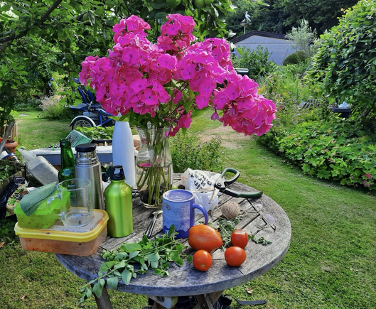 Picknick und Gartenarbeit gleichzeitig. Auf einem altem, runden Gartentisch steht ein großer Strauß Flox in Pink. Diverse Flaschen, Picknichgefäße,neben geernteten Tomaten liegt auch eine Gartenschere auf dem Tisch, August 24.