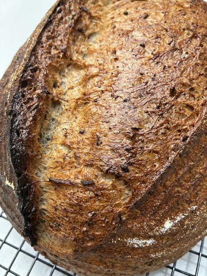 Golden coloured sourdough displaying gluten strands, seeds and herbs.