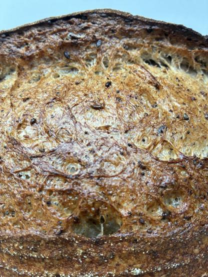 Golden coloured sourdough displaying gluten strands, seeds and herbs.