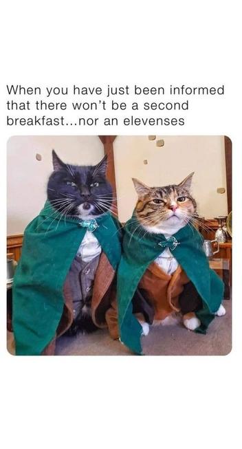 Two cats in green cloaks sitting side by side.

Transcribed Text:

When you have just been informed that there won’t be a second breakfast…nor an elevenses