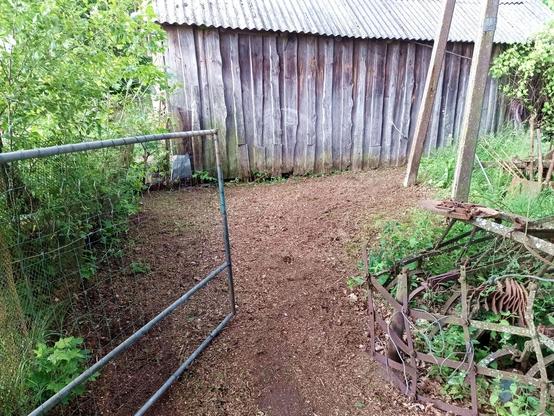 A fence gate opens onto a barn, concrete power pylon (standing) and a freshly mulched area of weeds, twigs, small trees und underbrush. On the right there's still an overgrown area with an old harrow and some steel junk.