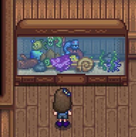 I did not realise you could put so much in a fish tank 😭