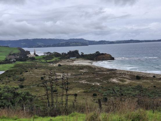 A view out over a coastal vegetation with a bay to the right. In the distance on the right sits a large house, quite close to the shoreline.