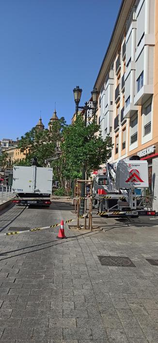 La calle cortada porque están talando árboles. No se ve en la foto pero ayer ya talaron los de detrás.