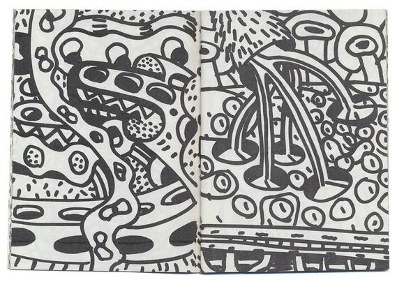 double page imprimée en noir sur blanc.
Deux dessins fantastiques et organiques, comme des gros plans de synapses, de connexions veineuses, nerveuses, gastriques, etc. Le trait est épais, probablement au marqueur. Il y a des trous et des tubes partout.