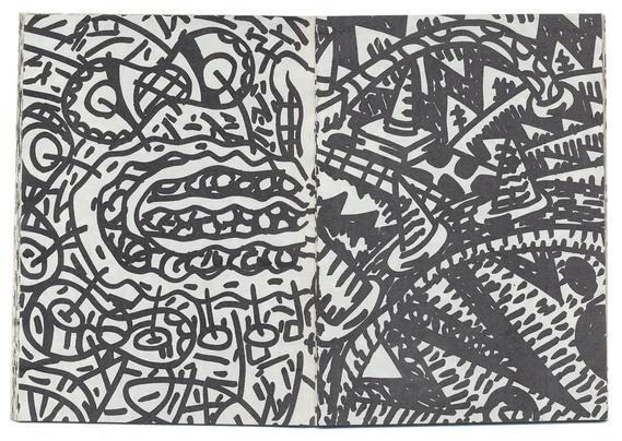 double page imprimée en noir sur blanc.
Deux dessins fantastiques et organiques, comme des gros plans de synapses, de connexions veineuses, nerveuses, gastriques, etc. Le trait est épais, probablement au marqueur. Certaines formes sont plus droites ou géométriques qu'ailleurs, avec des angles presque architecturaux.