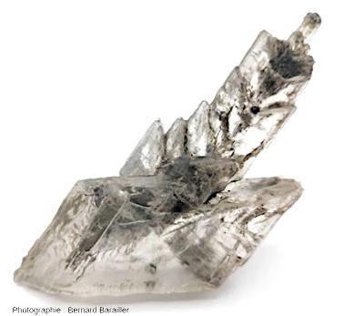 Macle de gypse en sapin avec un “socle” formé d’un cristal monoclinique de gypse.