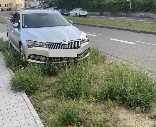Ein Skoda Octavia Kombi steht neben der Straße in einem Grünstreifen, in dem die Pflanzen mittlerweile so hoch gewachsen sind, dass sie über die Stoßstange wachsen.