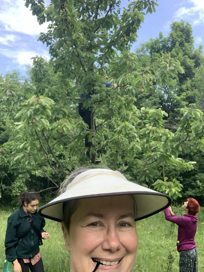 4 of us plucking cherries 🍒