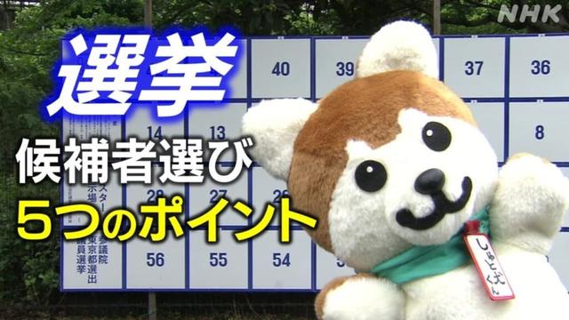 都議選 参議院選 2025 立候補者どう選ぶ 情報収集の5つのポイント しゅと犬くんとチェック