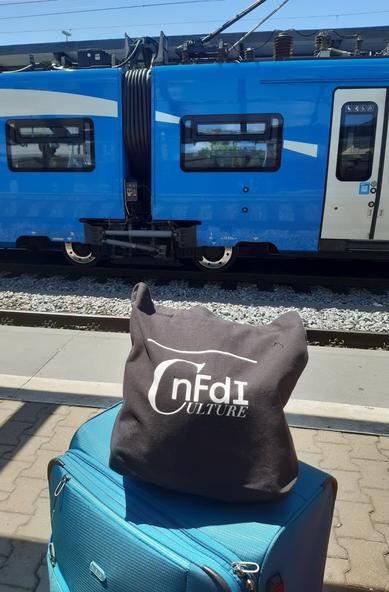 Abfahrt mit der NFDI4Culture-Tasche unter bayerischem Himmel mit bayerischen Farben: türkiser Koffer und schwarze Stofftasche an einem Bahnsteig des Augsburger Hauptbahnhofs vor einem blau-weißen Zug.
CC0
Foto: Gabi Pahnke