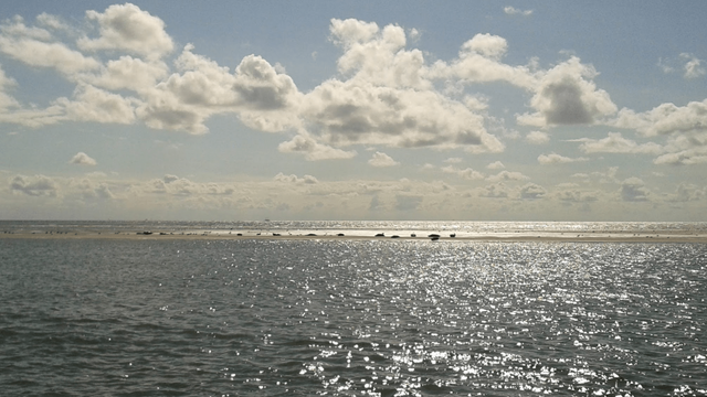 Nordsee bei Sonnenschein, im Hintergrund eine Sandback mit Robben