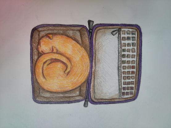 Drawing of an orange cat in an open suitcase