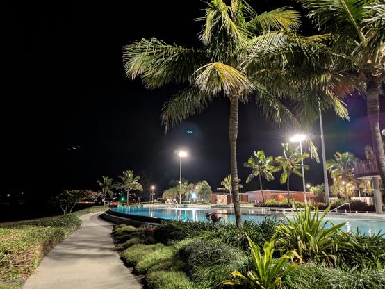 Yeppoon Lagoon: an infinitity pool lined with greenery and palm trees at night.
