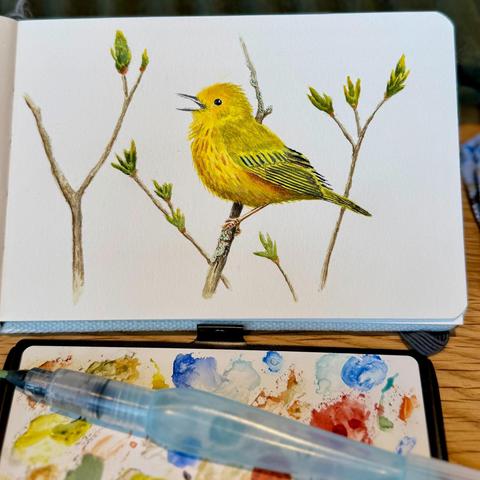 Watercolor painting of a bright yellow warbler perched on a budding branch, created in a sketchbook with a visible waterbrush and paint palette.