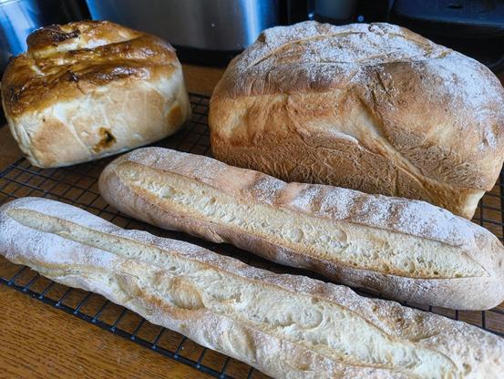 A cooling rack with a fruit loaf, a white loaf, and two baguettes cooling on a rack.