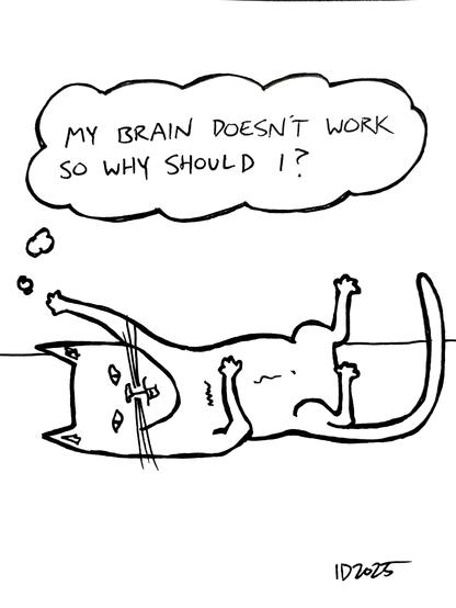 a cat lies supine with tail and legs askew and thinks "my brain doesn't work so why should i?"