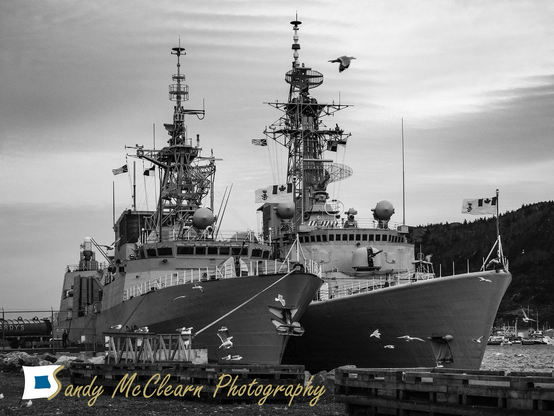 Two warships tied up with a flock of seagulls taking off in the foreground.