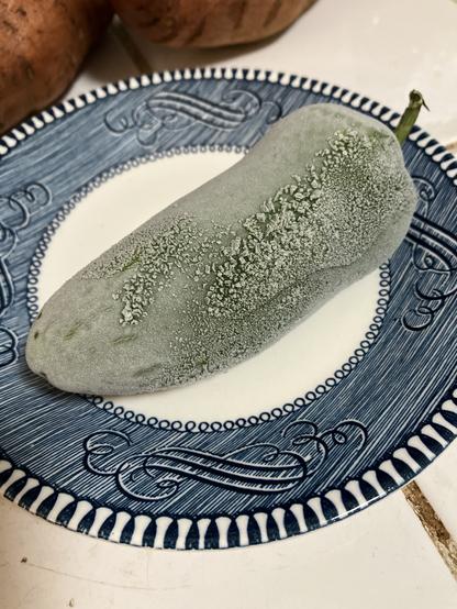 A large green jalapeño pepper covered in frost fills a blue-rimmed plate.