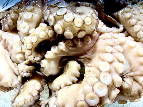 A pile of octopus arms tightly tangled together. The skin is pale pink to beige, covered with rows of round suckers. The surface appears wet and glossy.