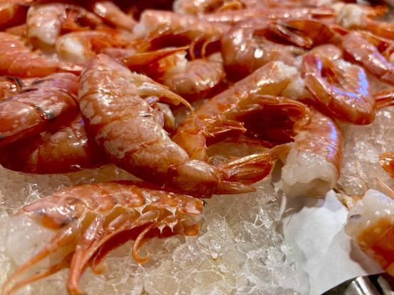 Several red prawns lying on ice. The shells are shiny, the bodies curved. Some prawns are open at the tail end, showing the white flesh inside.