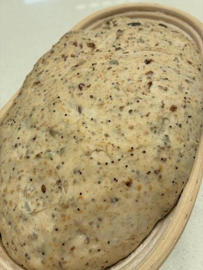 Seeded sourdough in a batard banneton.