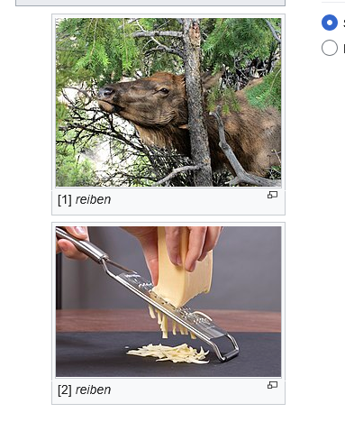 screenshot aus wiktionary, zwei fotos die die unterschiedlichen bedeutungen des verb "reiben" illustrieren sind zu sehen. erstes foto ist ein Hirsch der sich an einem dünnen Baumstamm reibt. Das Tier schaut ein bisschen verloren drein. Das zweite Foto ist ein Stück Hartkäse (vlt. Parmesan) der gerieben wird, das Foto wirkt sehr klinisch. 
Unter jedem Foto steht "reiben"