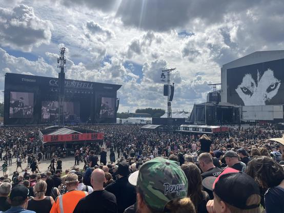 A picture of the festival Copenhell. Skunk Anansie on stage (to the left) and the Copenhell wolf painting on the warehouse on the right