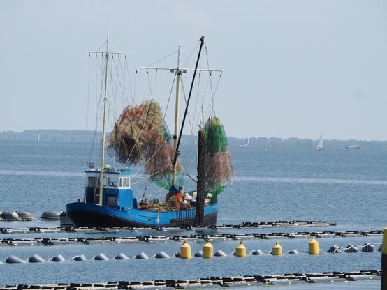 Muschelkutter mit hochgezogenen Netzen zwischen den Muschelbankmarkierungen.
