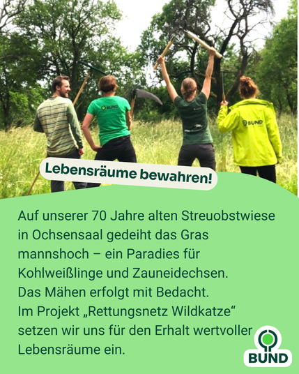 Vier Personen mit Werkzeugen wie Rechen und Sensen stehen auf einer hohen Wiese, drei davon tragen BUND-Shirts. Sie feiern ihren Einsatz zum Erhalt einer artenreichen Streuobstwiese.