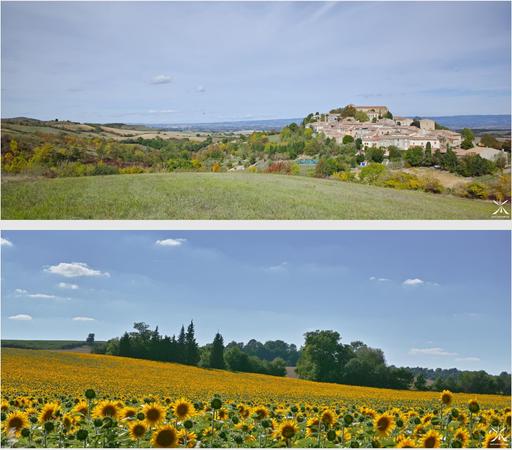 "Promenade des Arts" exhibition in Revel