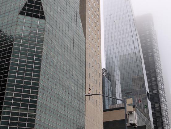 A photo of an American Robin perched on a lamp post, with skyscrapers rising into the fog in the background.