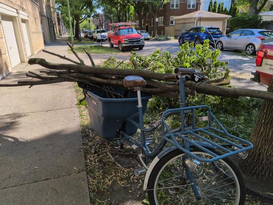 Blue Madsen bucket bike carrying a large portion of a downed tree