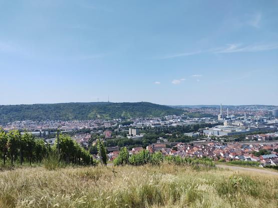 Das dritte Bild bietet einen Panoramablick auf eine Stadt von einem erhöhten Aussichtspunkt aus. Im Vordergrund sind Weinberge und ein Feld mit hohem Gras zu sehen. Die Stadt erstreckt sich über ein weites Tal mit einer Mischung aus Wohn- und Industriegebieten. Im Hintergrund sind Hügel und Wälder zu sehen, die den Horizont säumen.