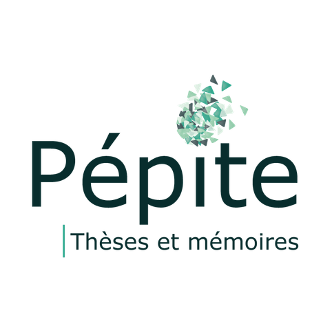 Logo de la plateforme Pépite