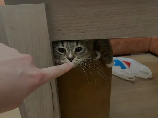 Now she's sniffing a finger