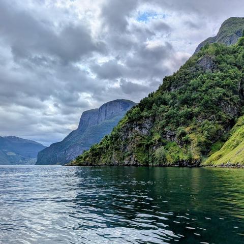 A photograph of a green, tree-covered mountainside beside a Norwegian Fjord.
